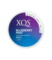 XQS Φακελάκια Νικοτίνης BLUEBERRY MINT Strong 20 8mg Νικοτίνη (Made in Sweden)