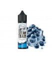 STEAMTRAIN DISPOSABLE EDITION Flavour Shot BLUEBERRY ICE 20ml / 60ml (βατόμουρα με πάγο)