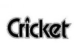 Cricket